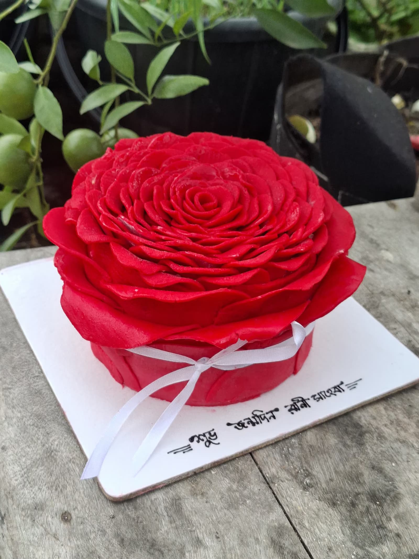 Sculpted red rose cake