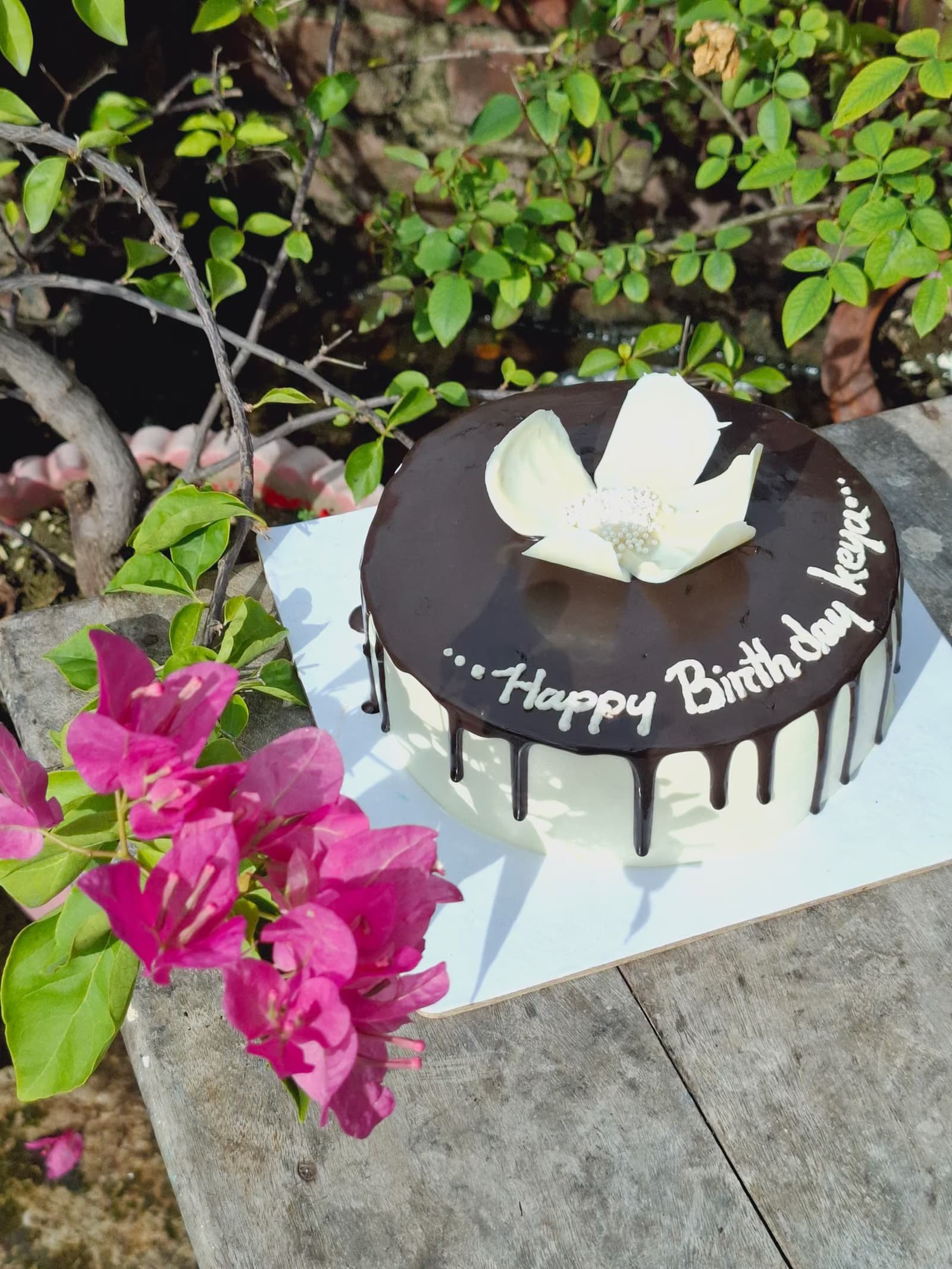 Chocolate drip cake with a sugar flower
